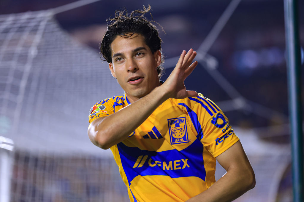 Tigres UANL v Atletico San Luis - Torneo Apertura 2024 Liga MX