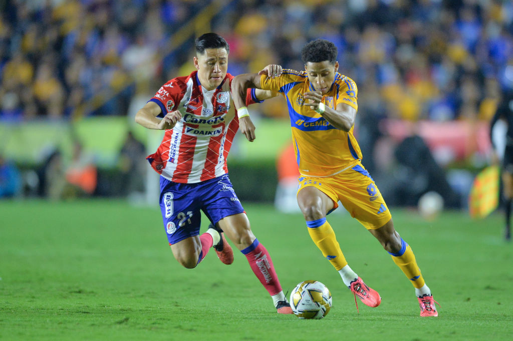 Tigres UANL v Atletico San Luis - Playoffs Torneo Apertura 2024 Liga MX