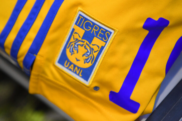 Photo by David Ramos - FIFA/FIFA via Getty Images