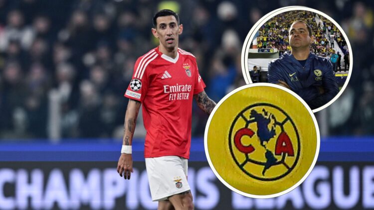 Angel Di Maria of Benficalooks on during the UEFA Champions League 2024/25 League Phase MD8 match between Juventus and SL Benfica at Juventus Stadi...