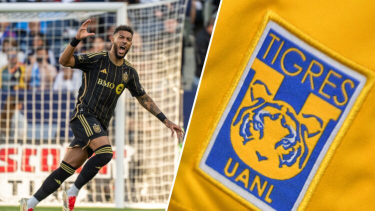 Denis Bouanga, Tigres
